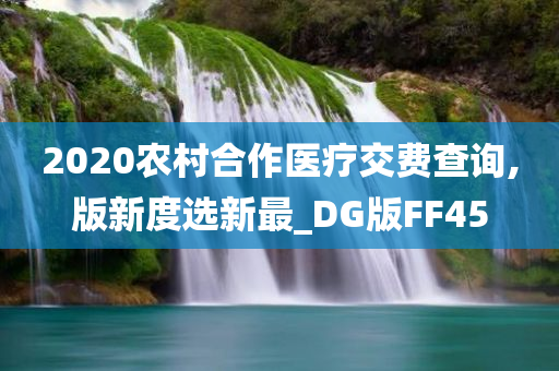 2020农村合作医疗交费查询,版新度选新最_DG版FF45