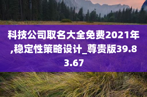 科技公司取名大全免费2021年,稳定性策略设计_尊贵版39.83.67