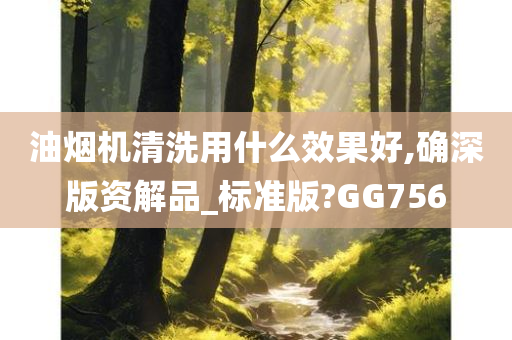 油烟机清洗用什么效果好,确深版资解品_标准版?GG756