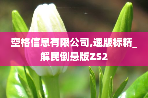 空格信息有限公司,速版标精_解民倒悬版ZS2