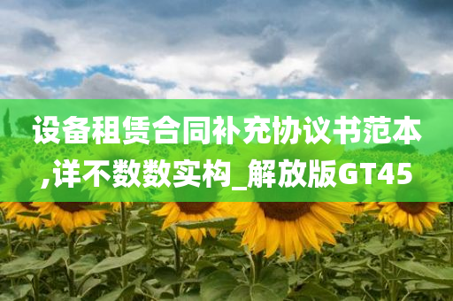 设备租赁合同补充协议书范本,详不数数实构_解放版GT45