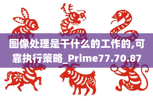 图像处理是干什么的工作的,可靠执行策略_Prime77.70.87