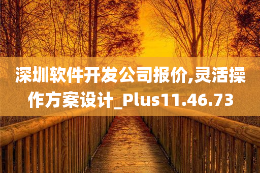 深圳软件开发公司报价,灵活操作方案设计_Plus11.46.73