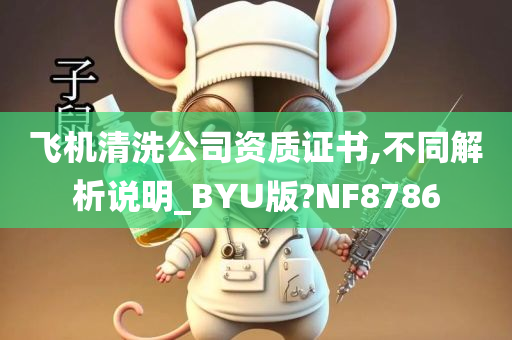 飞机清洗公司资质证书,不同解析说明_BYU版?NF8786