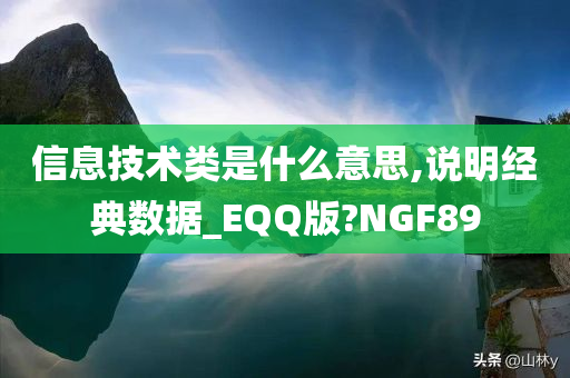 信息技术类是什么意思,说明经典数据_EQQ版?NGF89