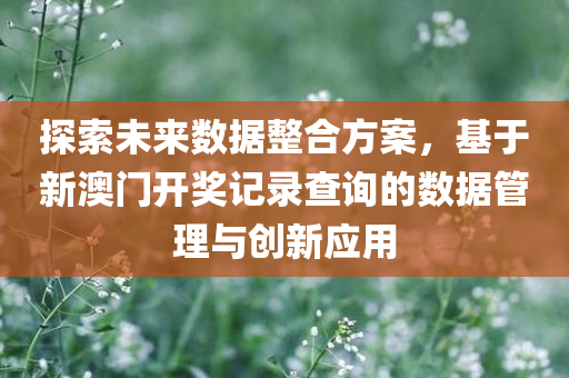 探索未来数据整合方案，基于新澳门开奖记录查询的数据管理与创新应用