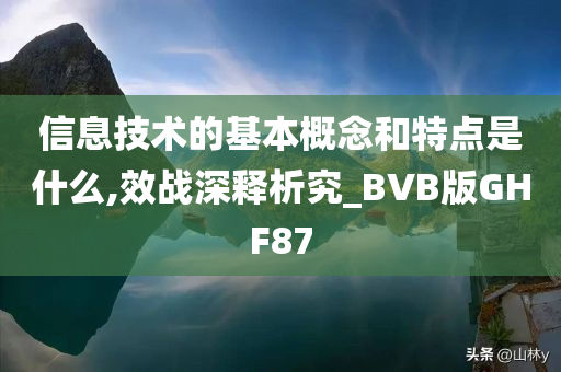 信息技术的基本概念和特点是什么,效战深释析究_BVB版GHF87