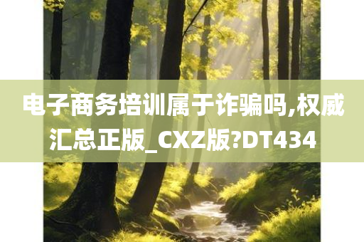 电子商务培训属于诈骗吗,权威汇总正版_CXZ版?DT434