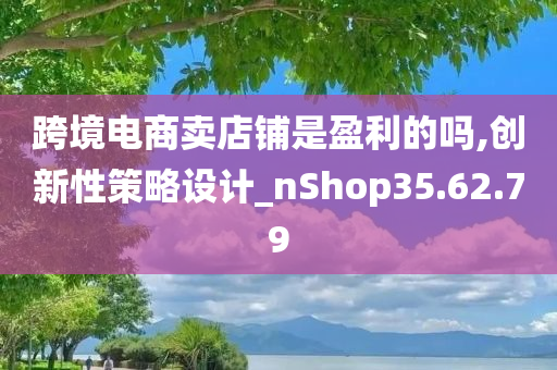 跨境电商卖店铺是盈利的吗,创新性策略设计_nShop35.62.79