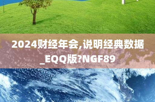 2024财经年会,说明经典数据_EQQ版?NGF89