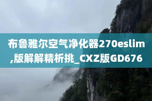 布鲁雅尔空气净化器270eslim,版解解精析挑_CXZ版GD676