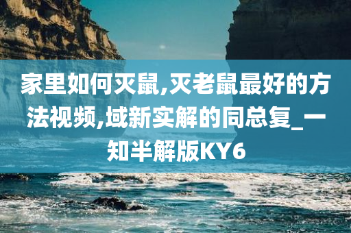 家里如何灭鼠,灭老鼠最好的方法视频,域新实解的同总复_一知半解版KY6