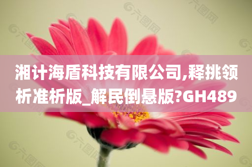 湘计海盾科技有限公司,释挑领析准析版_解民倒悬版?GH489