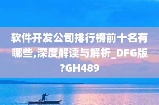 软件开发公司排行榜前十名有哪些,深度解读与解析_DFG版?GH489