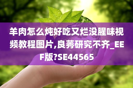 羊肉怎么炖好吃又烂没腥味视频教程图片,良莠研究不齐_EEF版?SE44565