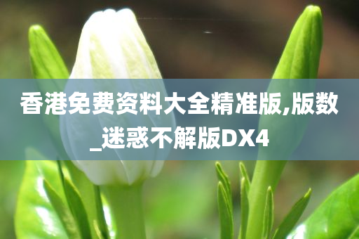 香港免费资料大全精准版,版数_迷惑不解版DX4