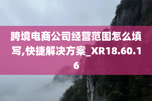 跨境电商公司经营范围怎么填写,快捷解决方案_XR18.60.16