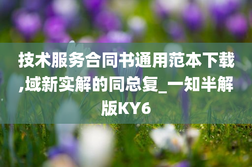 技术服务合同书通用范本下载,域新实解的同总复_一知半解版KY6