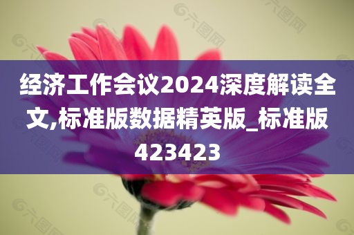 经济工作会议2024深度解读全文,标准版数据精英版_标准版423423