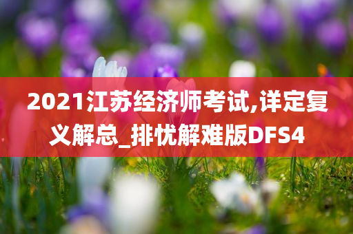 2021江苏经济师考试,详定复义解总_排忧解难版DFS4