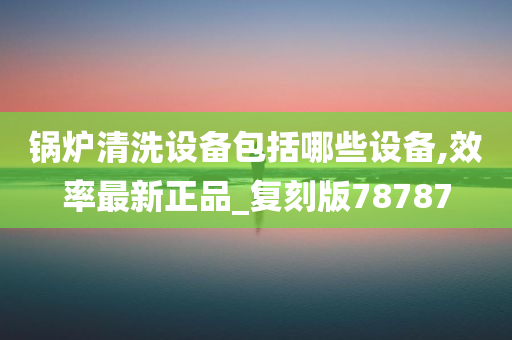 锅炉清洗设备包括哪些设备,效率最新正品_复刻版78787