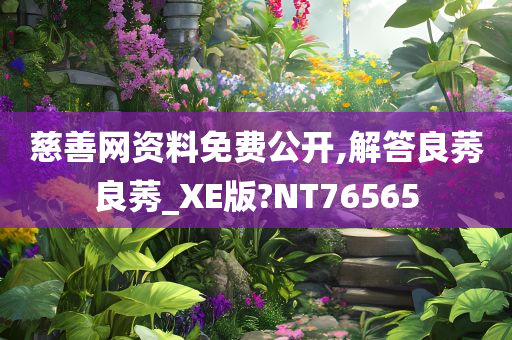 慈善网资料免费公开,解答良莠良莠_XE版?NT76565