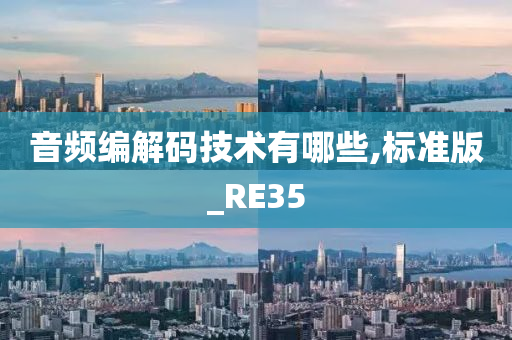 音频编解码技术有哪些,标准版_RE35