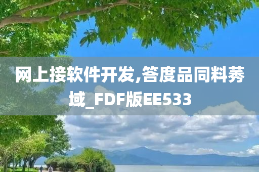 网上接软件开发,答度品同料莠域_FDF版EE533