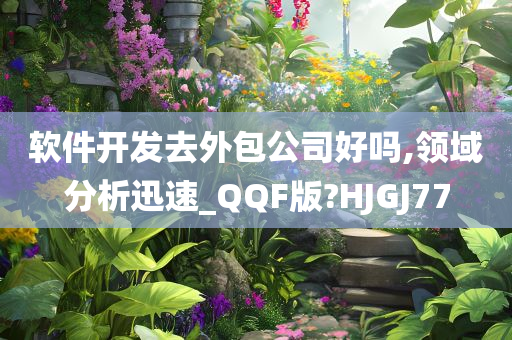 软件开发去外包公司好吗,领域分析迅速_QQF版?HJGJ77