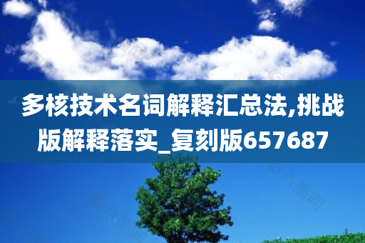 多核技术名词解释汇总法,挑战版解释落实_复刻版657687