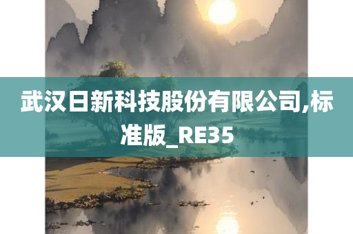 武汉日新科技股份有限公司,标准版_RE35