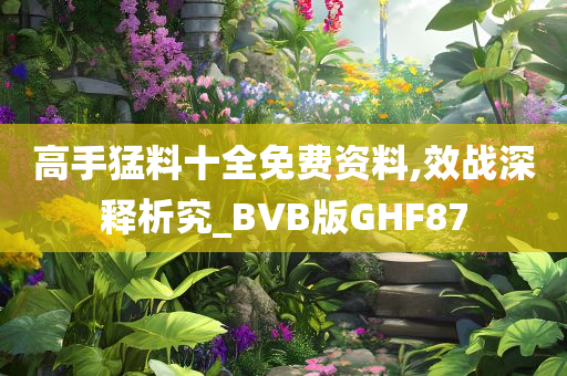 高手猛料十全免费资料,效战深释析究_BVB版GHF87