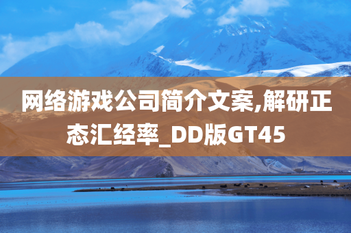 网络游戏公司简介文案,解研正态汇经率_DD版GT45