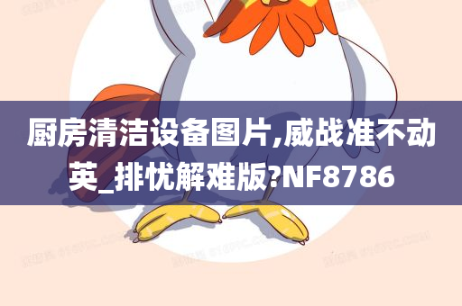 厨房清洁设备图片,威战准不动英_排忧解难版?NF8786