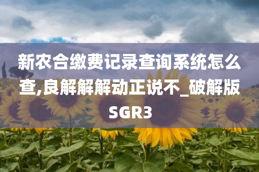 新农合缴费记录查询系统怎么查,良解解解动正说不_破解版SGR3