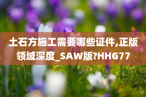 土石方施工需要哪些证件,正版领域深度_SAW版?HHG77