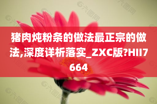 猪肉炖粉条的做法最正宗的做法,深度详析落实_ZXC版?HII7664