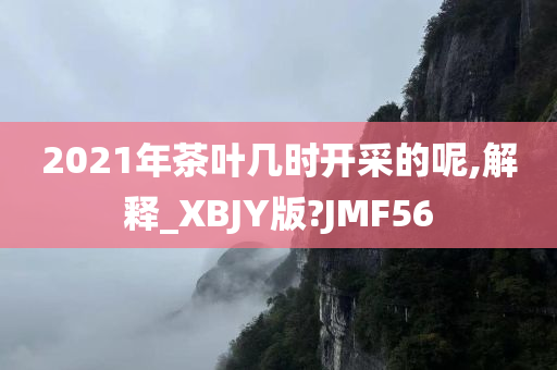 2021年茶叶几时开采的呢,解释_XBJY版?JMF56