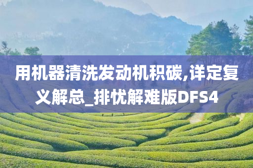 用机器清洗发动机积碳,详定复义解总_排忧解难版DFS4