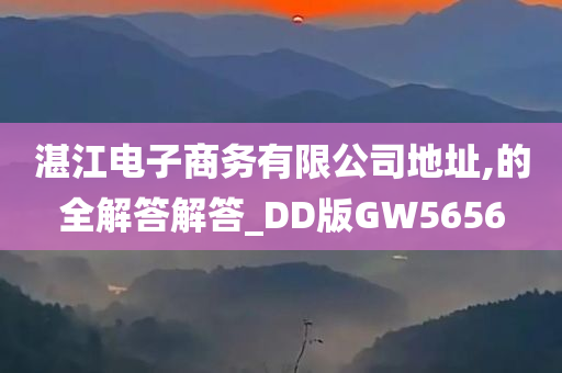 湛江电子商务有限公司地址,的全解答解答_DD版GW5656