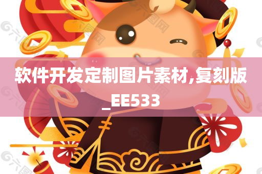 软件开发定制图片素材,复刻版_EE533