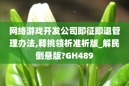 网络游戏开发公司即征即退管理办法,释挑领析准析版_解民倒悬版?GH489