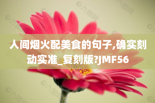 人间烟火配美食的句子,确实刻动实准_复刻版?JMF56