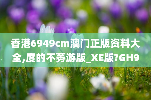 香港6949cm澳门正版资料大全,度的不莠游版_XE版?GH9