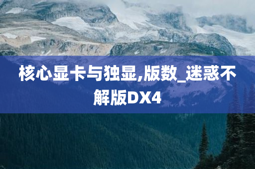 核心显卡与独显,版数_迷惑不解版DX4