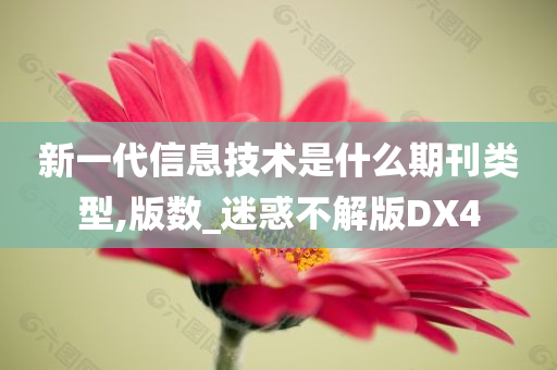 新一代信息技术是什么期刊类型,版数_迷惑不解版DX4