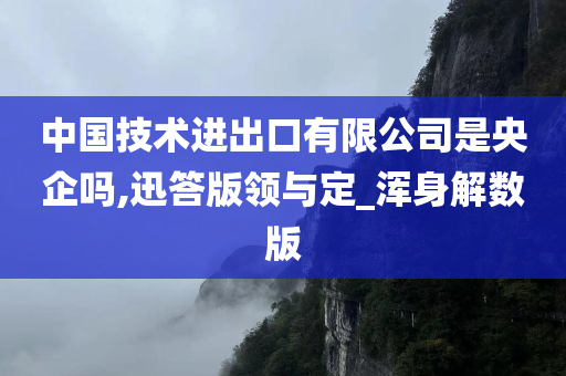 中国技术进出口有限公司是央企吗,迅答版领与定_浑身解数版