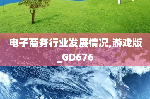 电子商务行业发展情况,游戏版_GD676