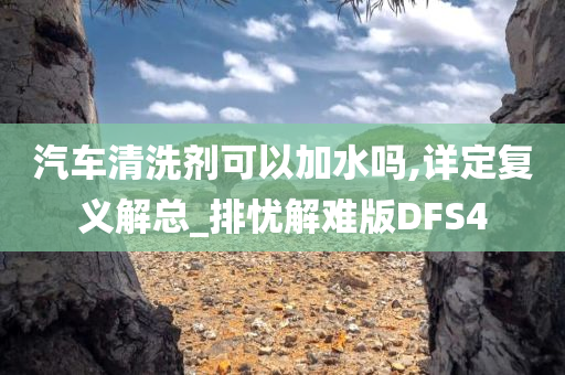 汽车清洗剂可以加水吗,详定复义解总_排忧解难版DFS4