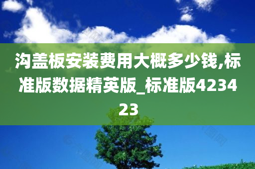 沟盖板安装费用大概多少钱,标准版数据精英版_标准版423423